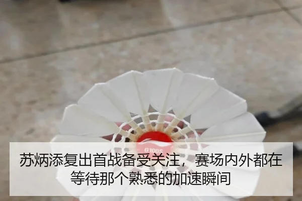 苏炳添复出首战备受关注，赛场内外都在等待那个熟悉的加速瞬间 - OGzhenren